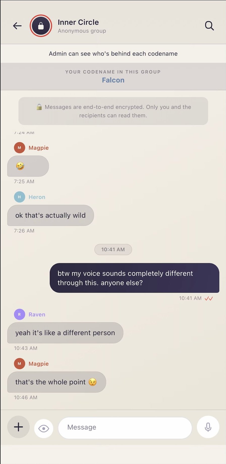 Anonymous group chat showing the codename header and host disclosure